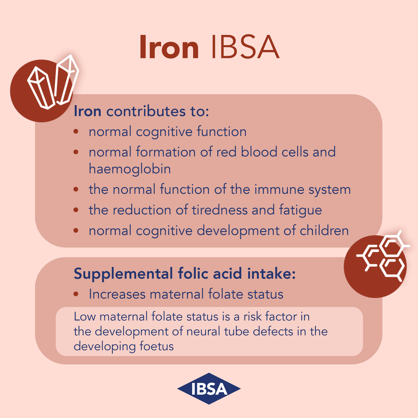 Iron + Vitamin B12